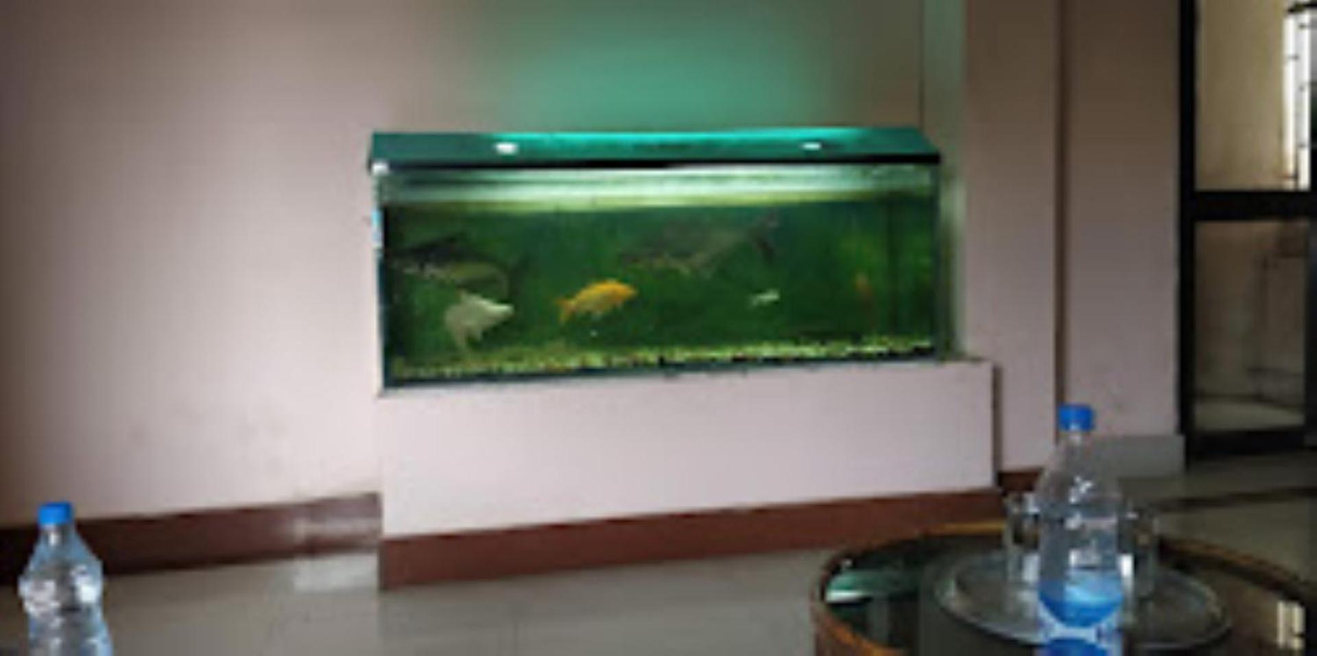 Hotel Blue Wheel,Bhubaneswar Buitenkant foto